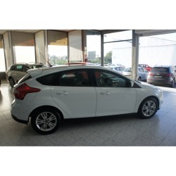 FORD FOCUS 1.6 TDCI 115 CV