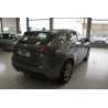 LEXUS NX300H